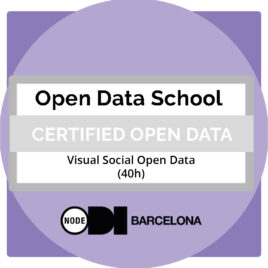 Certificat Professional Open Data Social Visual